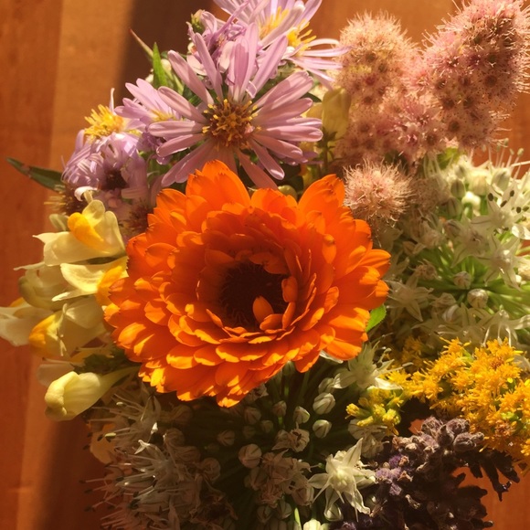 Meet your Posher, Crissy - Picture 1 of 1